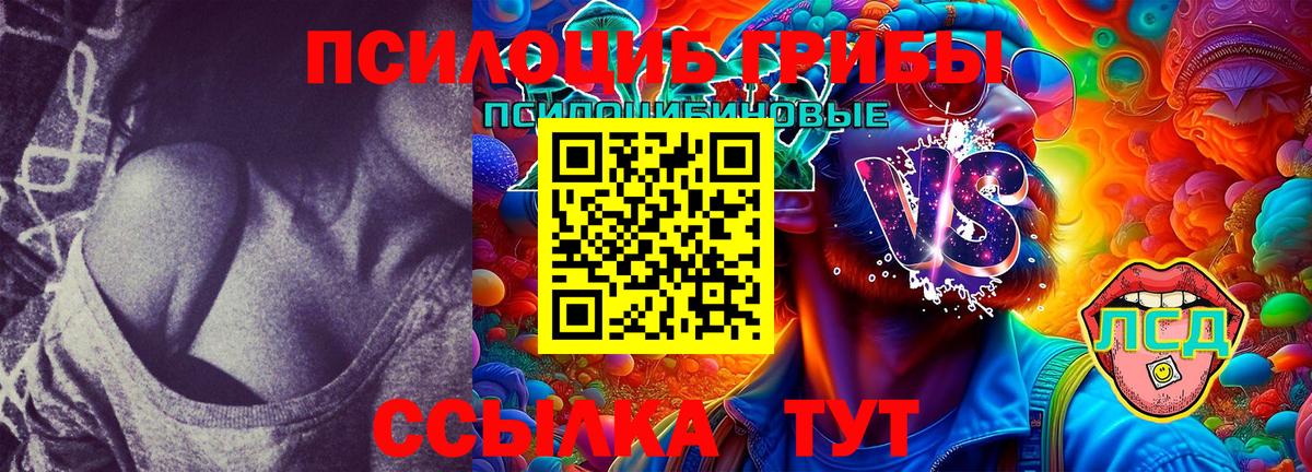 Псилоцибиновые грибы Magic Shrooms  Псилоцибиновые грибы MAGIC MUSHROOMS  Вход с VPN  где продают   Улан-Удэ 